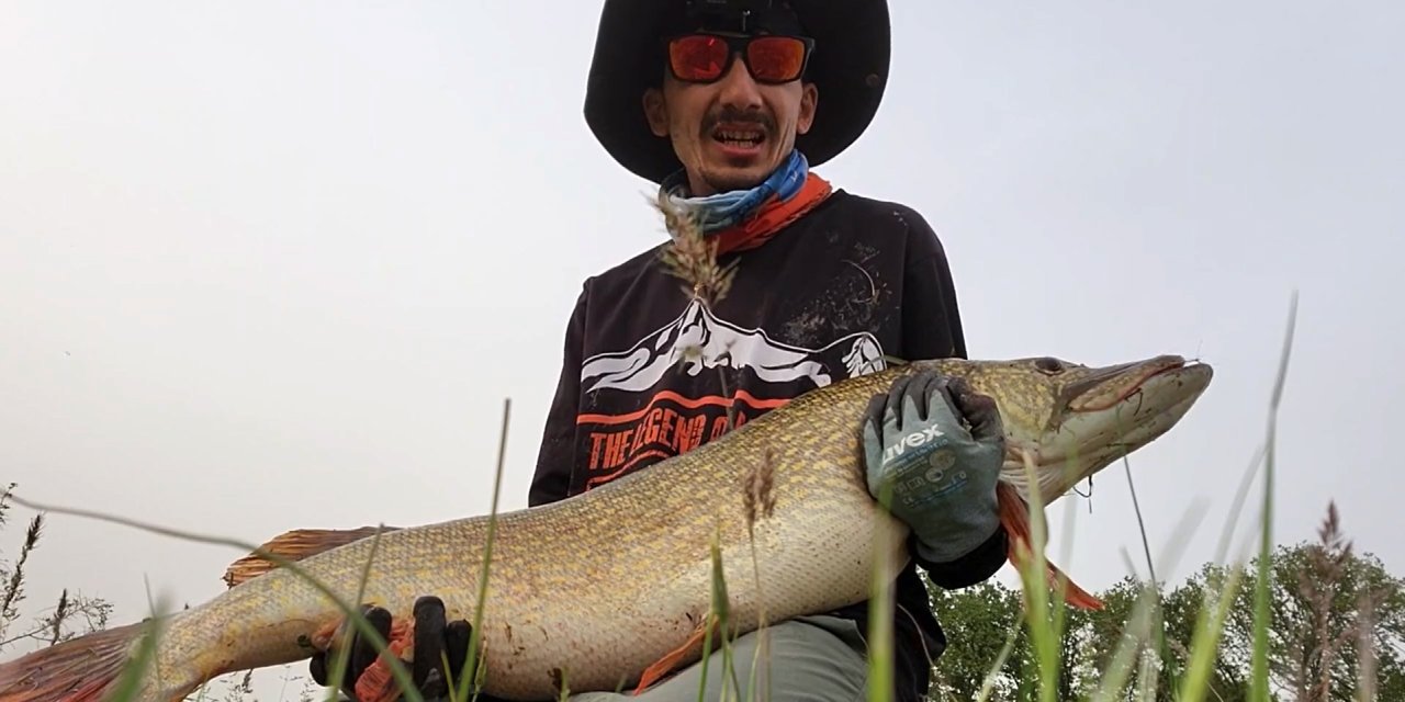 Amatör Balıkçı Oltayla 1 Metre Uzunluğunda Turna Balığı Yakaladı; O Anlar Kamerada