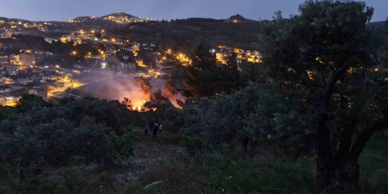Yıldırım Düşen Ağaçlık Alanda Yangın Çıktı