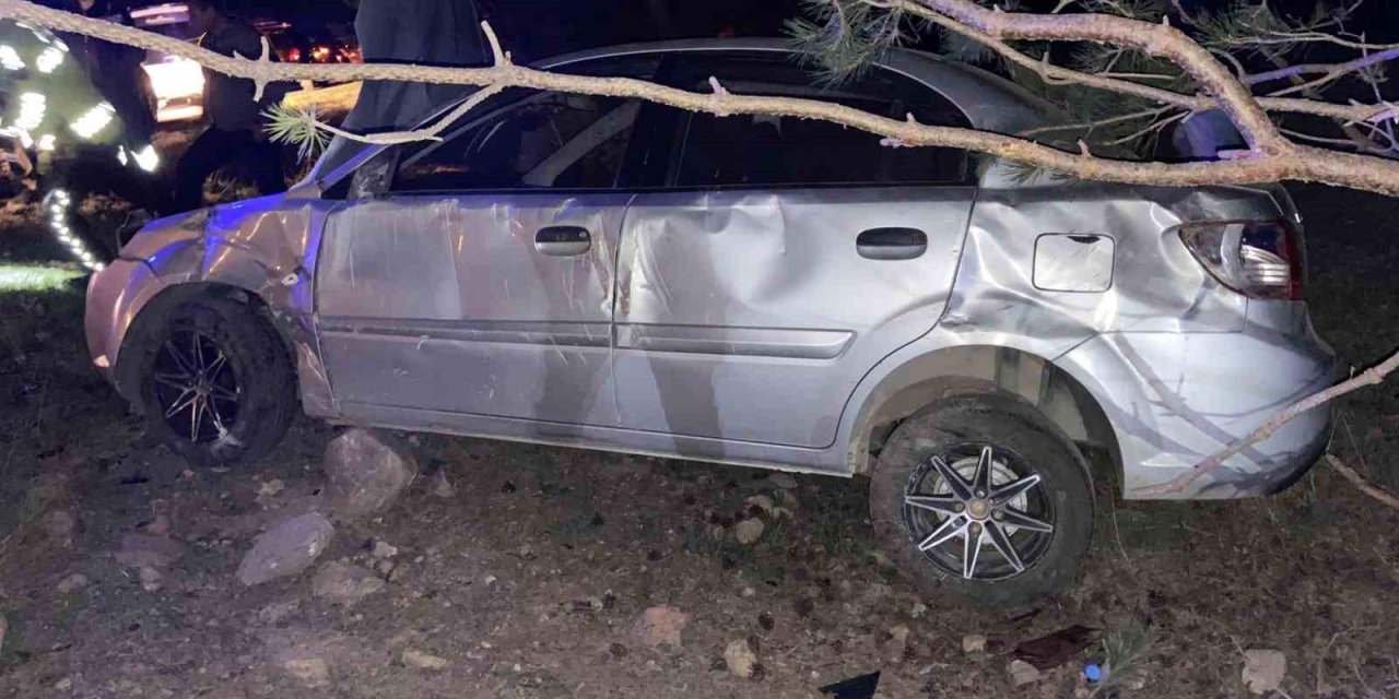 Yoldan Çıkan Otomobilin Sürücüsü Yaralandı