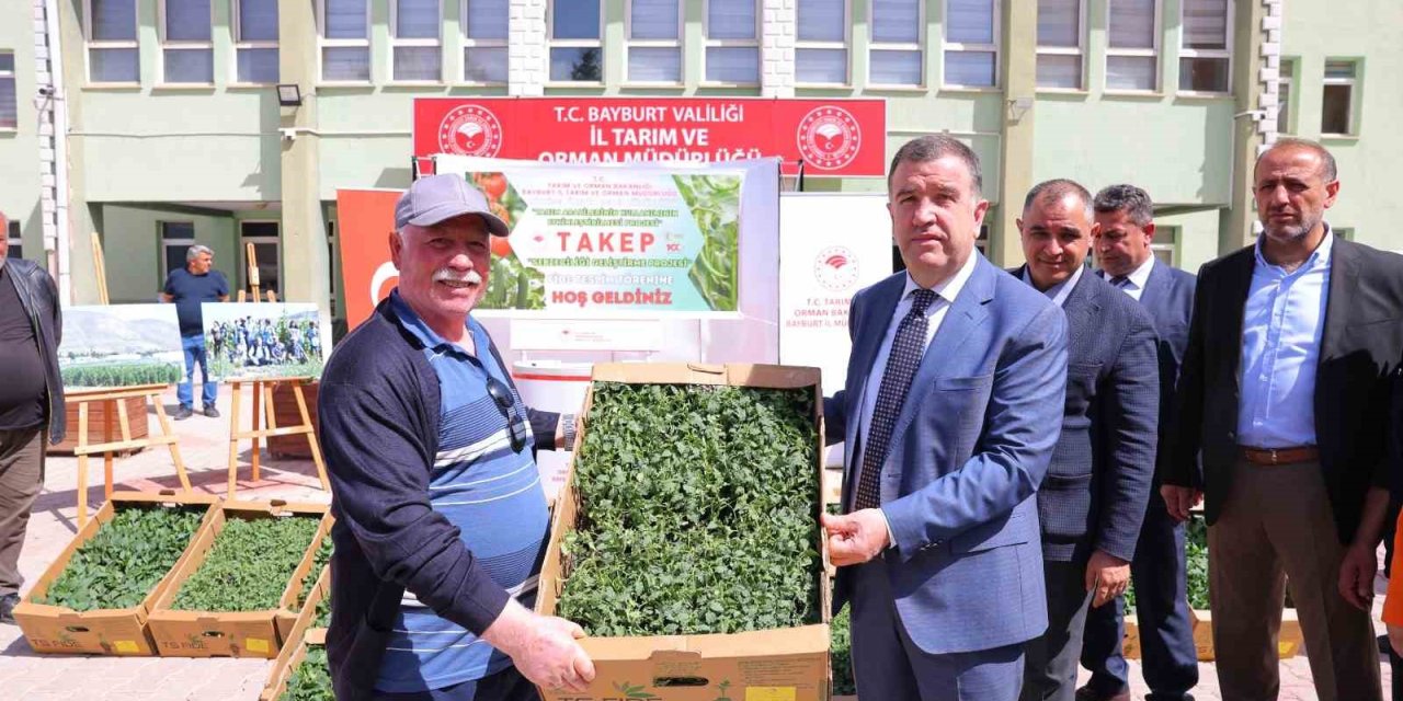 Bayburt’ta Üreticilere Fide Dağıtıldı