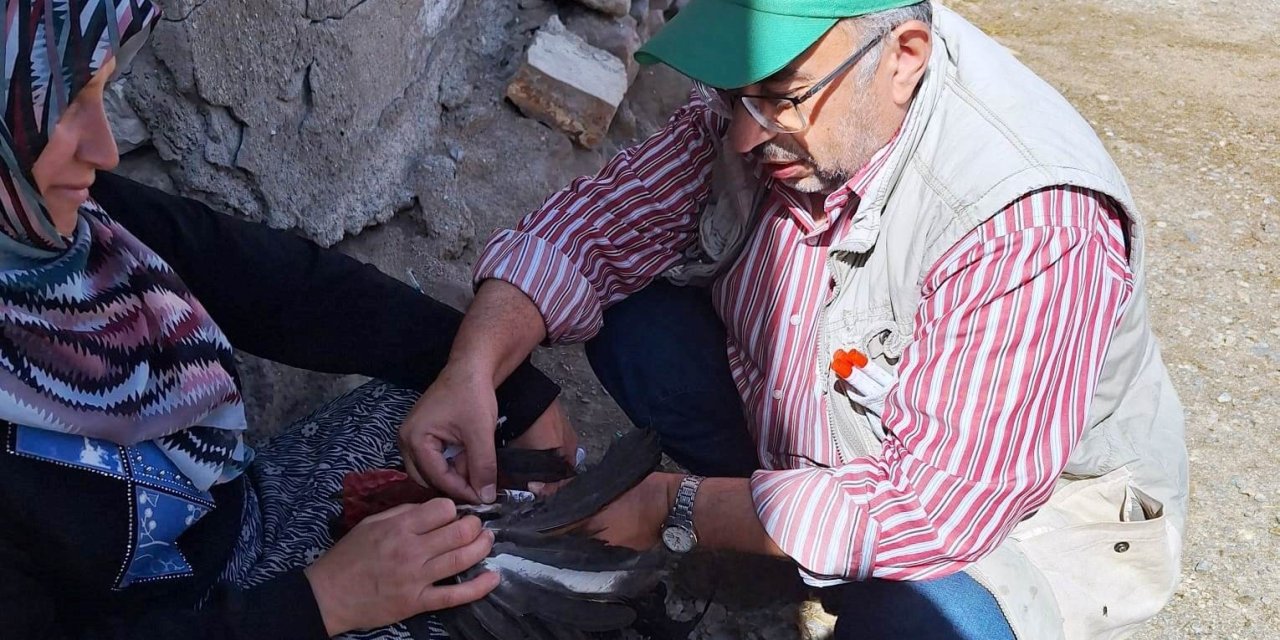 Emet’te Kanatlı Hayvanlardan Kan Ve Swap Numuneleri Alındı