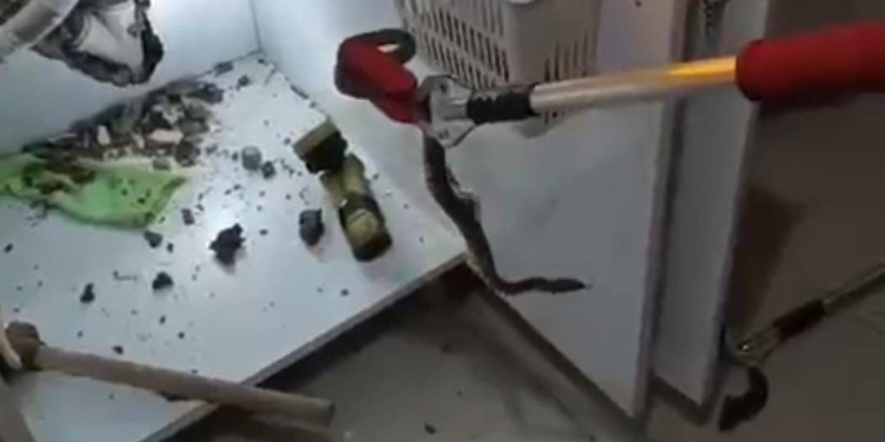 Şanlıurfa’da Yılan Operasyonu