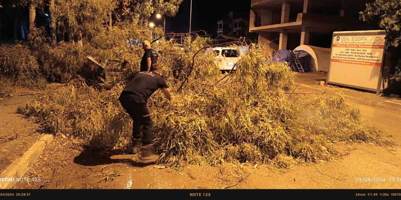 Defne’de Devrilen Ağaç Ekipler Tarafından Kaldırıldı