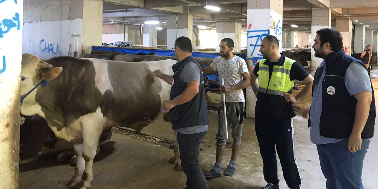 Rize'de Kurban Pazarında denetim ve dezenfeksiyon çalışmaları devam ediyor
