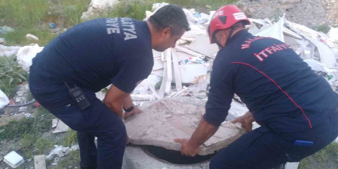 Rögara Düşen Köpek Kurtarıldı