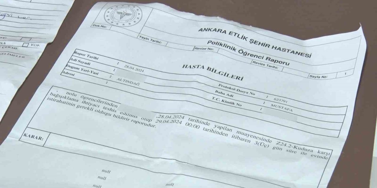 Ankara’da 15 Yaşındaki Çocuğa Sokak Köpekleri Saldırdı