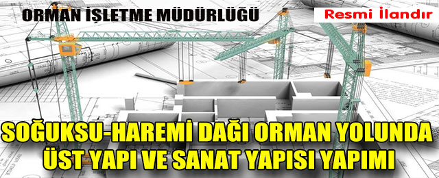 Orman Yolu Üst Yapı ve Sanat Yapısı Yapımı