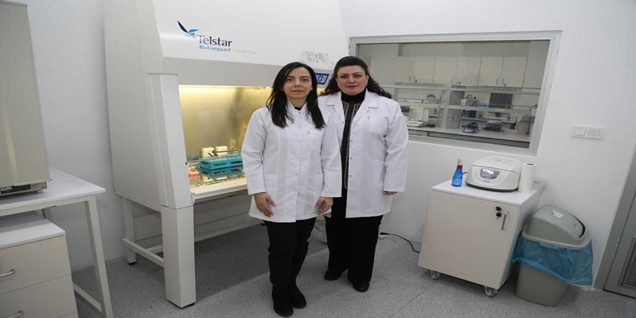 Hücrelerden Üretilen Biyomalzeme Yara İyileştirmesini Hızlandıracak