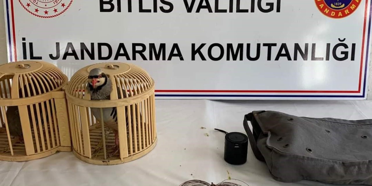 Bitlis’te Keklik Avlayan 2 Kişiye 26 Bin 635 Lira Para Cezası Uygulanacak