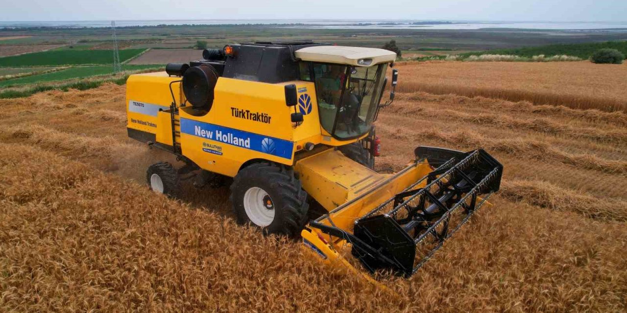 Adana’da Buğday Hasadı Başladı, Verim Yüzleri Güldürdü