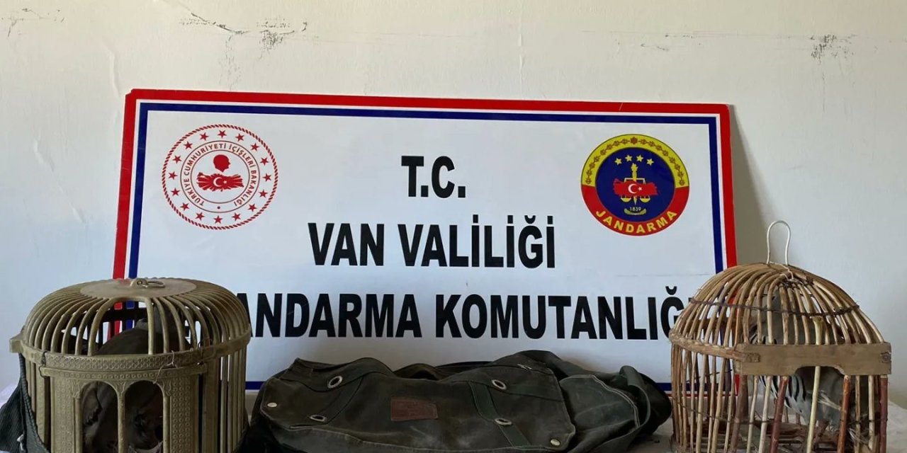 Kafes Avcısına 16 Bin 121 Lira İdari Para Cezası Kesilecek