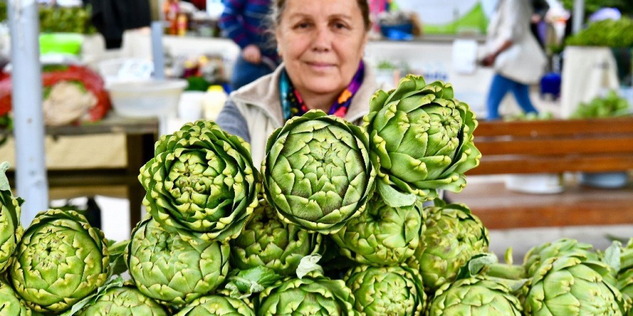 Urla Enginar Festivali İçin Geri Sayım Başladı
