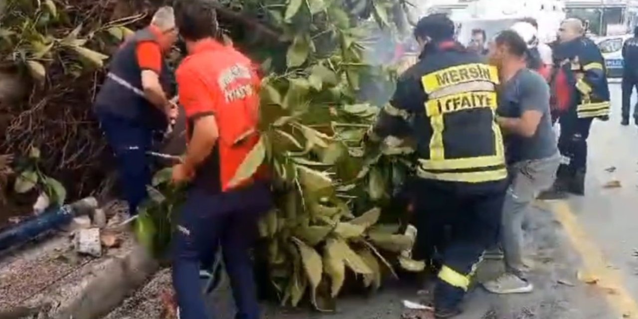 Otomobil Yayalara Çarptı, Ağacı Devirdi: 1 Ölü, 3 Yaralı