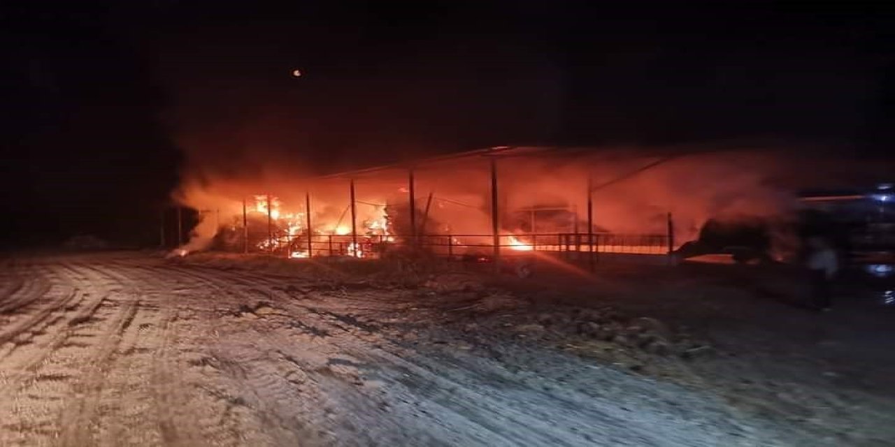 Ekiplerin Hızlı Müdahalesi 60 Hayvanı Kurtardı