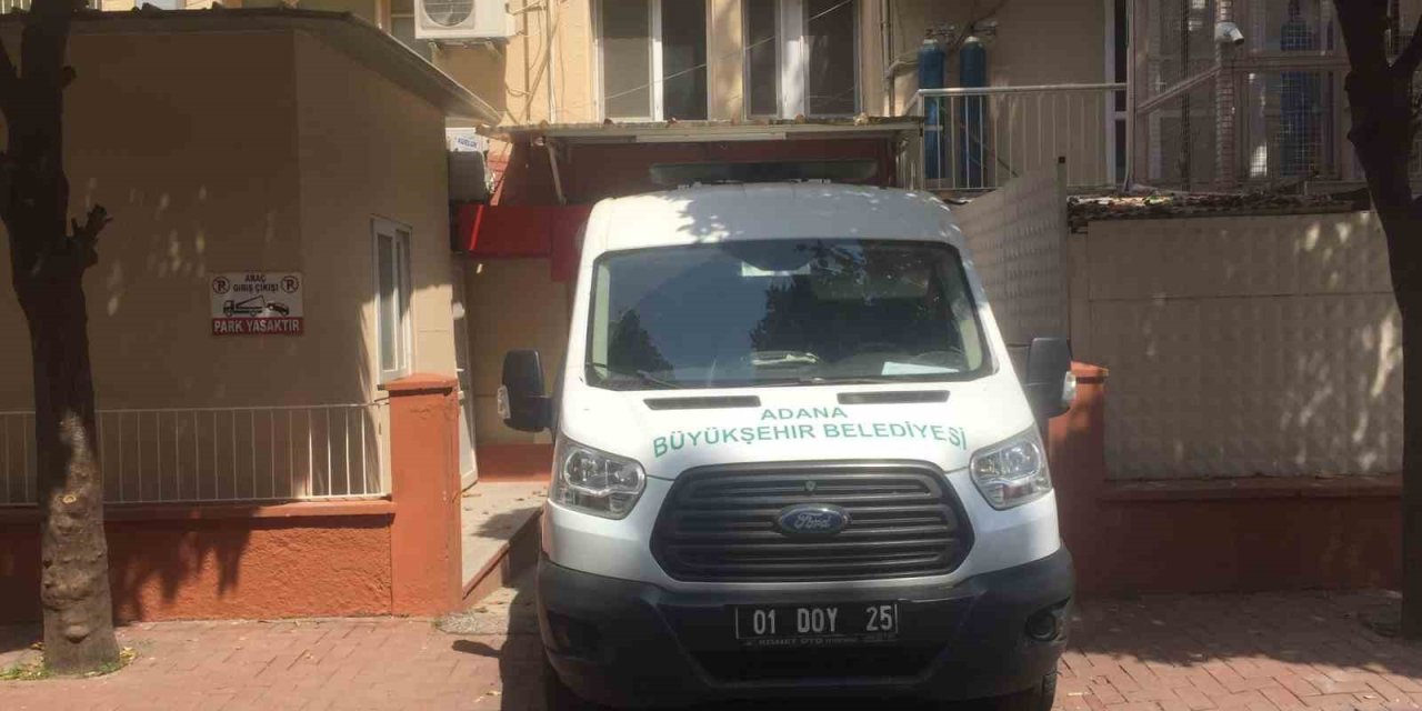 Adana’da Köpek Sürüsü Yaşlı Kadını Parçaladı