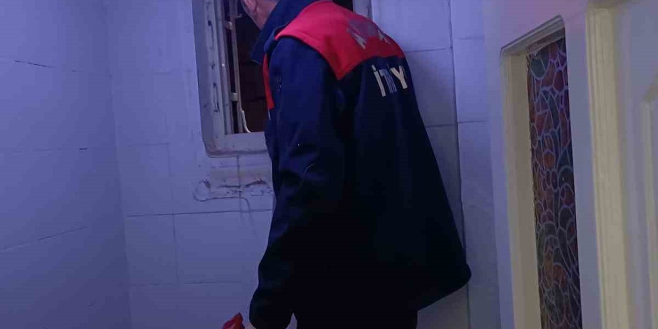 Havalandırma Boşluğunda Doğum Yapan Anne Kedi Ve 3 Yavrusu Kurtarıldı