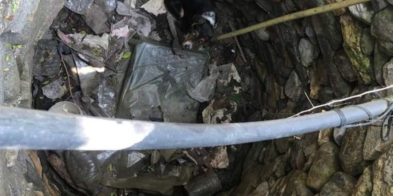 Kuyuya Düşen Köpeği İtfaiye Kurtardı