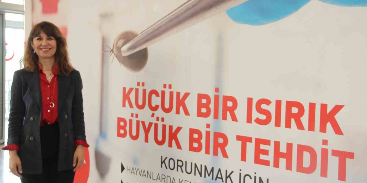 Griple Aynı Belirtileri Gösteren Ölümcül Virüsle İlgili Aile Hekimlerine Uyarı