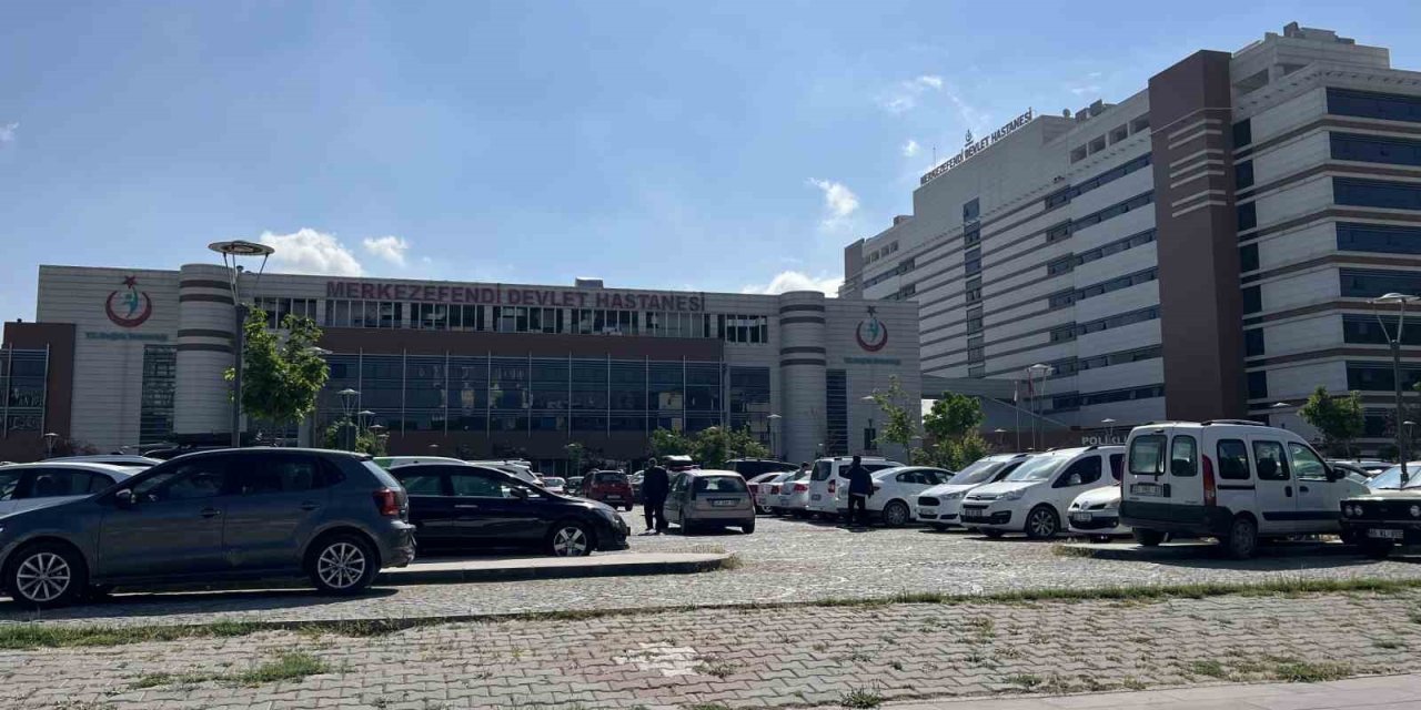 Bahar Ayları Kene Vakalarını Artırıyor