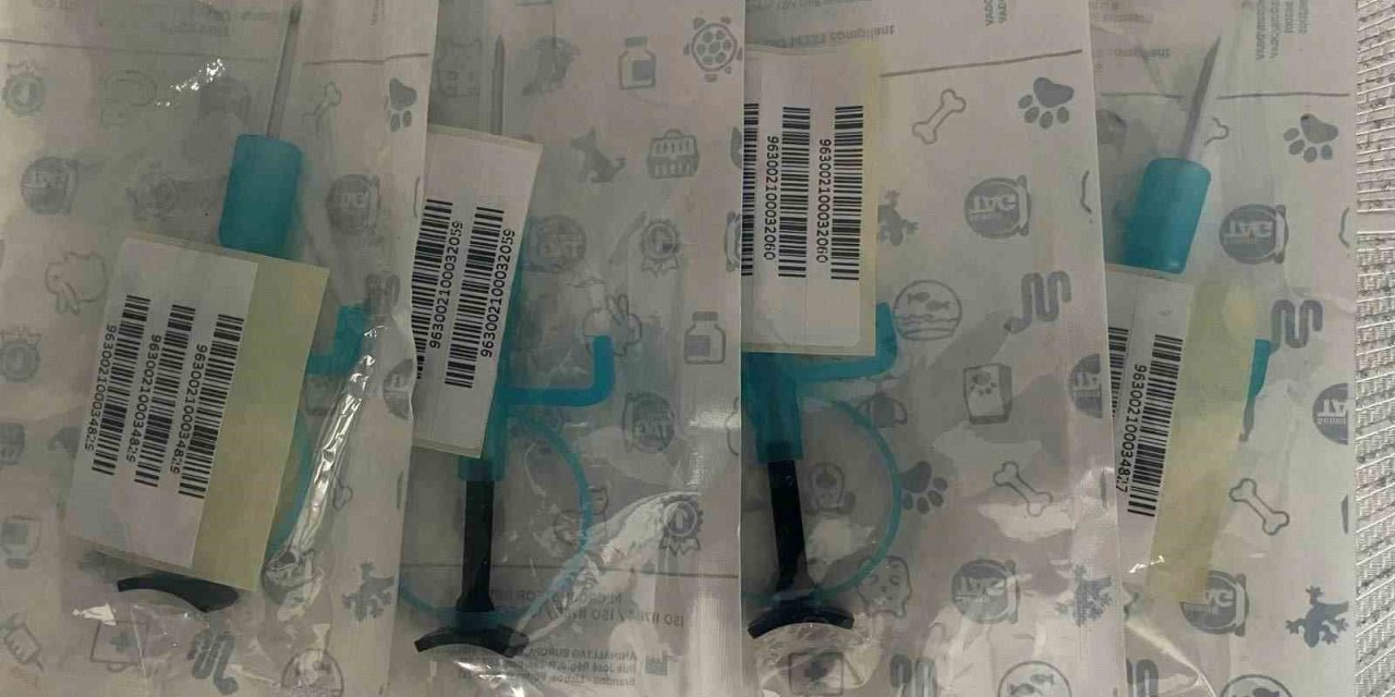 İstanbul’da Hayvan Kaçakçılığı Operasyonu: 565 Egzotik Hayvan Ele Geçirildi, 36 Kişi Yakalandı