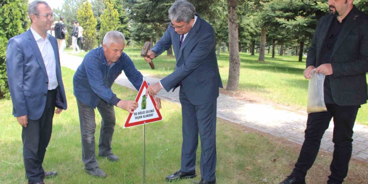 Erciyes Üniversitesi ’gelengi’leri Besledi