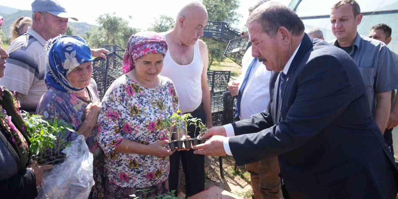 Milas Belediyesi’nden Üreticilere Ata Tohumdan Üretilen Fide Desteği