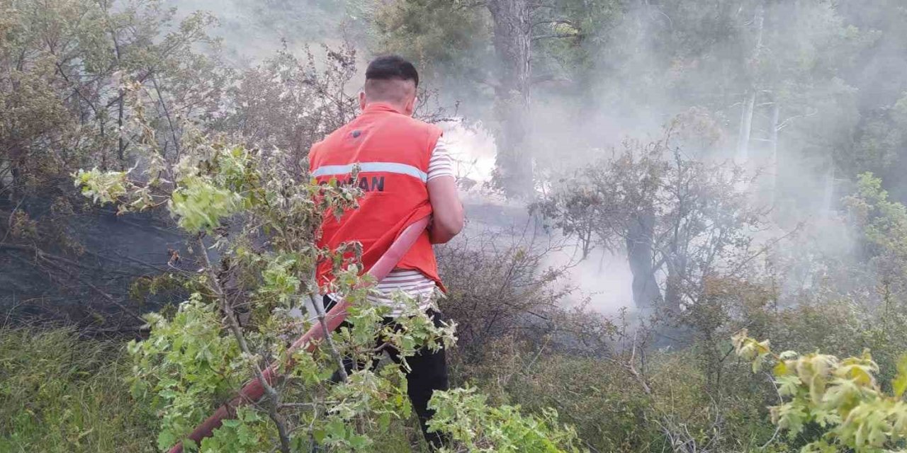 Orman Yangını Büyümeden Önlendi