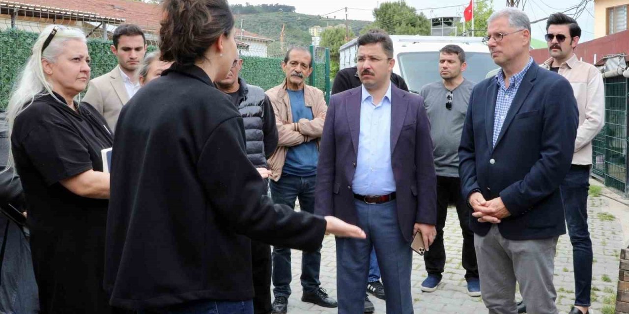 Mudanya’da Sokak Hayvanları İçin Rehabilitasyon Merkezi Kuruluyor