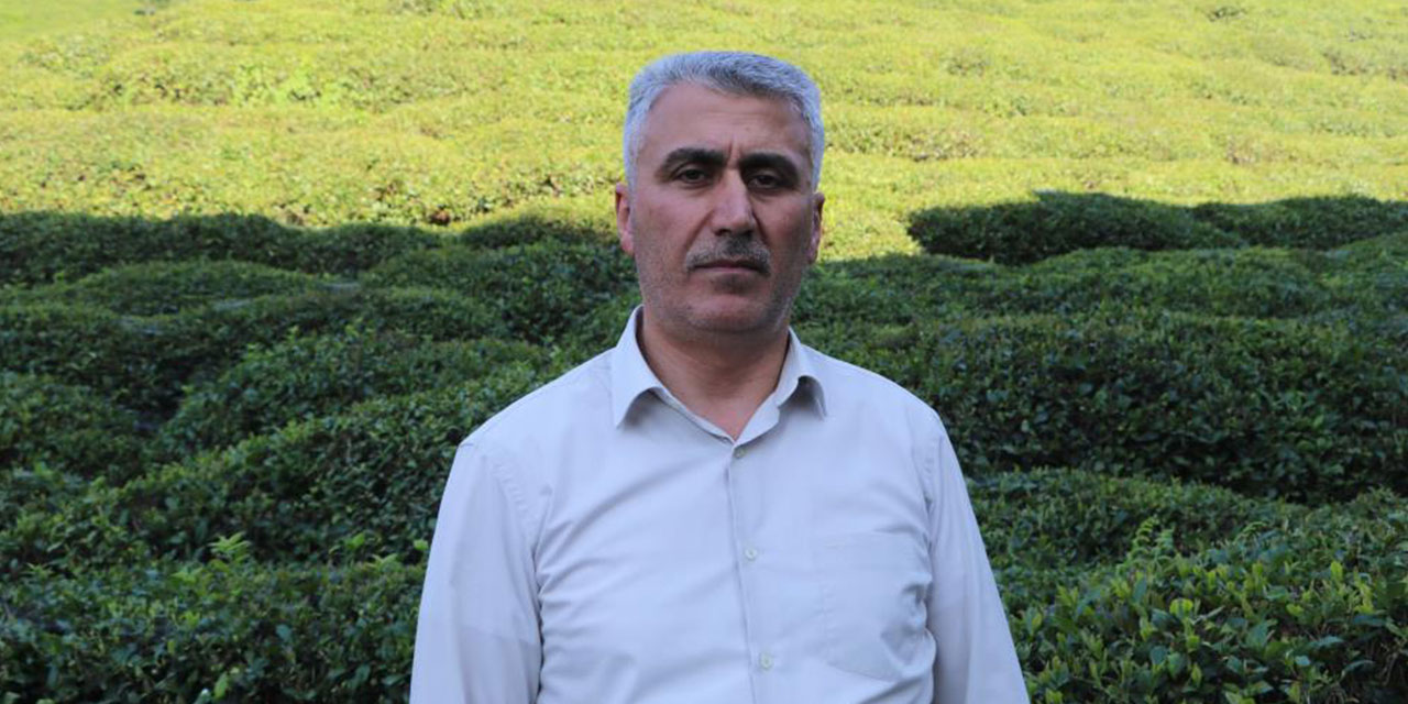 Birinci sürgünde çay üreticisinin tercihi özel sektör firmaları oldu