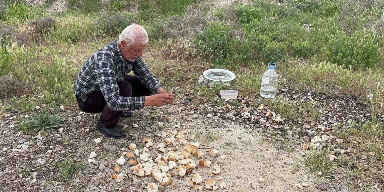 Hayvanları Besleyen Ayakkabı Tamircisini Cumhurbaşkanı Erdoğan Külliye’de Ağırlayacak