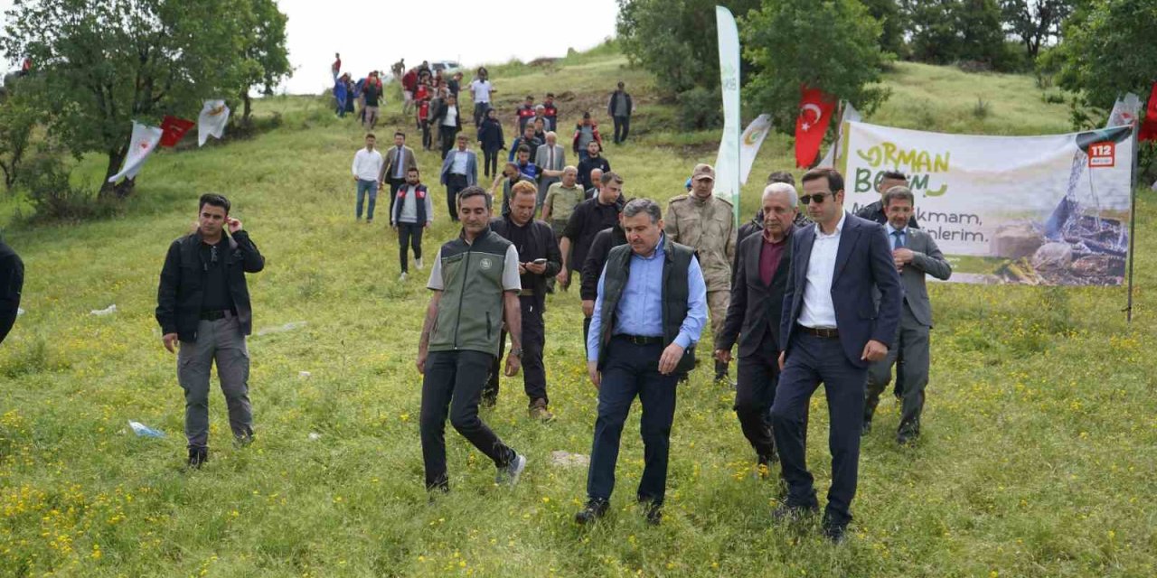 Şırnak’ta ’orman Benim’ Etkinliği Düzenlendi