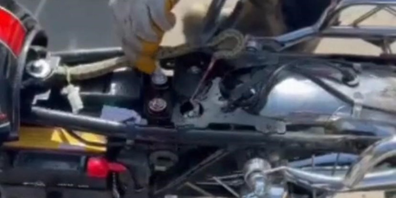 Motosiklete Giren Yılan, Ekipler Tarafından Çıkarıldı