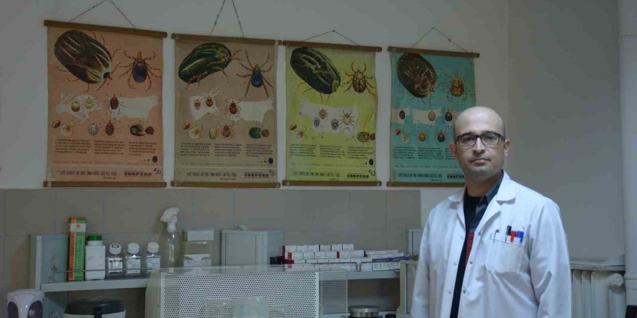 Keneden Korunmak İçin Günlük Vücut Kontrolü Yapmalı