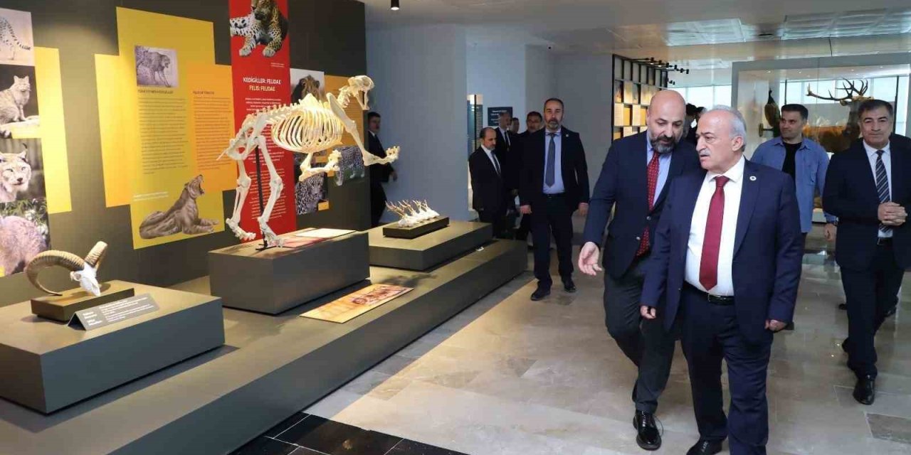 Bu Müzede 250 Bin Böcek Ve 20 Bin Kurutulmuş Bitki Örneği Sergileniyor