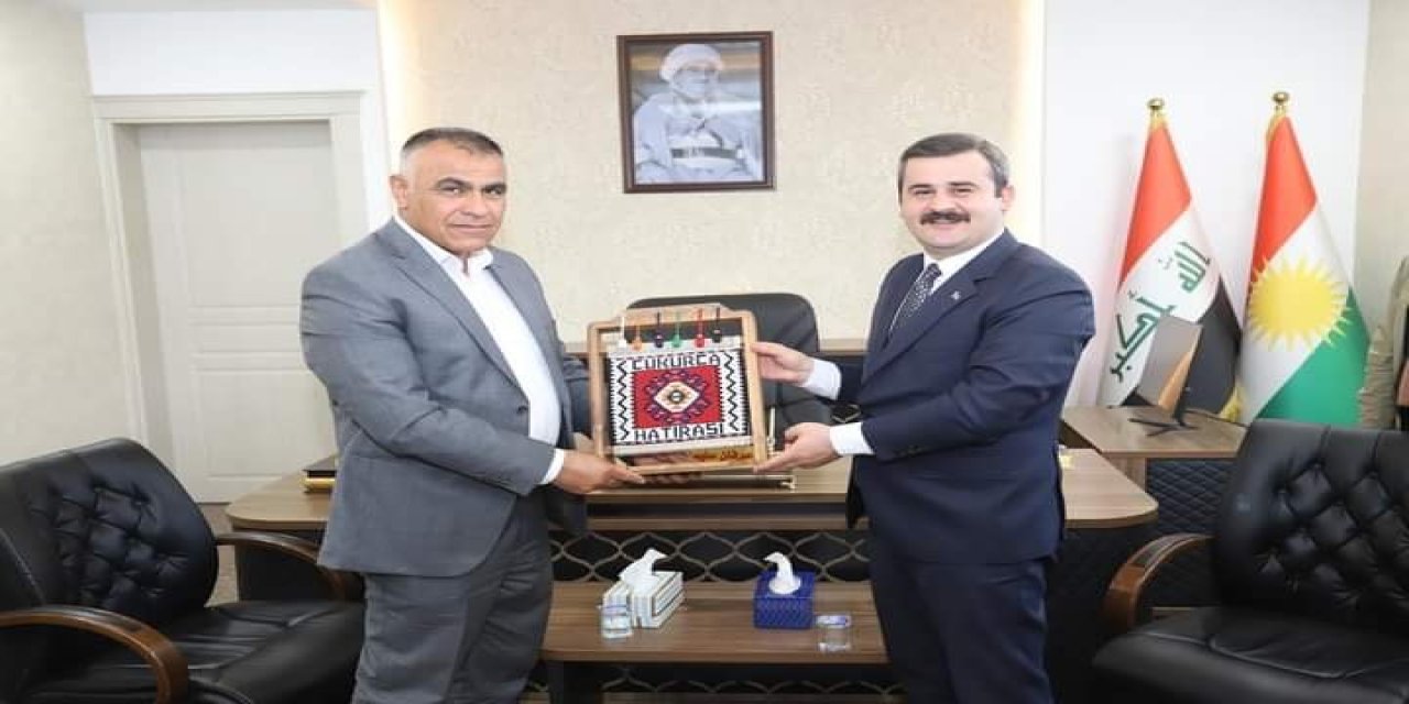 Kaymakam Kumcu, Sınır Kapısında İncelemelerde Bulundu