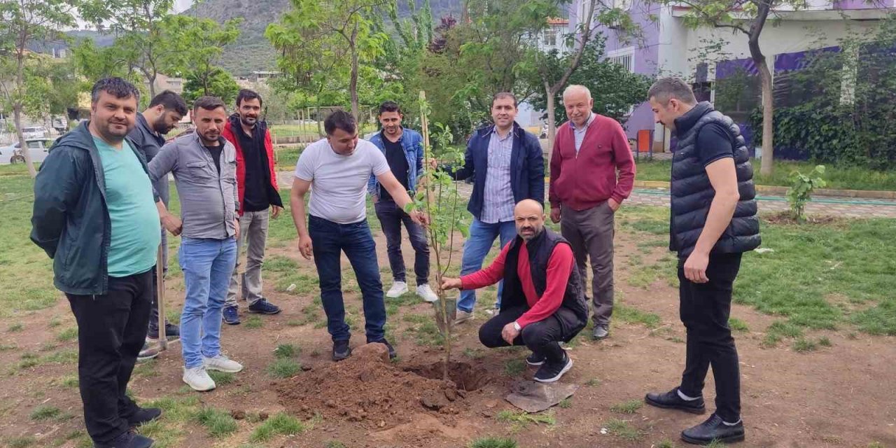Soma’da Yaşayan Ordulular Hayatını Kaybeden Madenciler Anısına Fidan Dikti