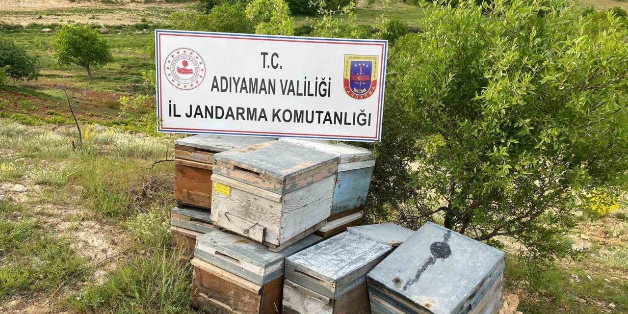 Çalınan Arı Kovanları Jandarma Tarafından Bulundu