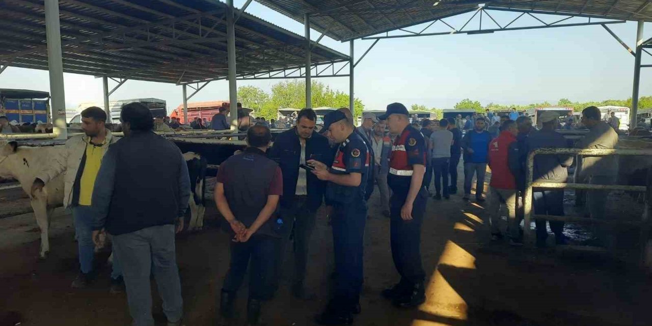 Jandarma, Hayvan Hırsızlarına Dikkat Çekti