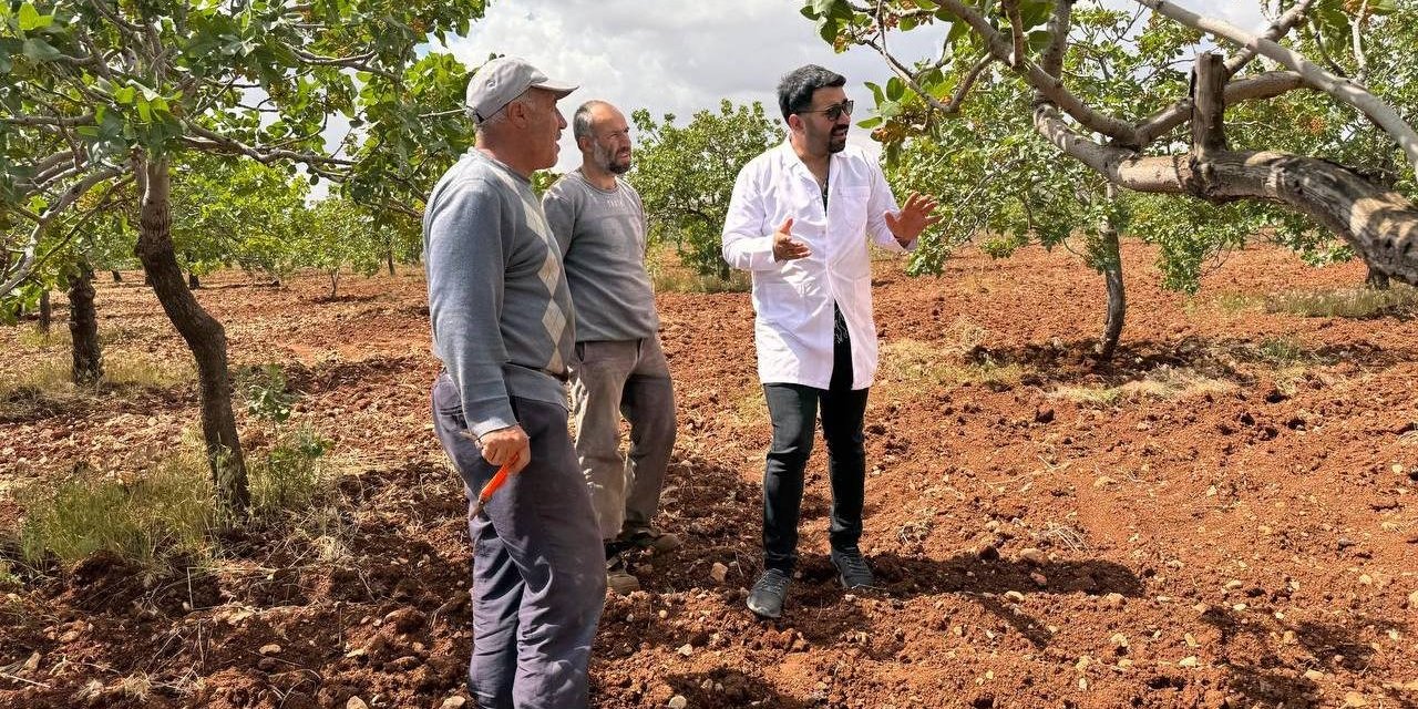 Dolu Ve Yağmur Sonrası Ziraat Mühendisleri Sahaya İndi