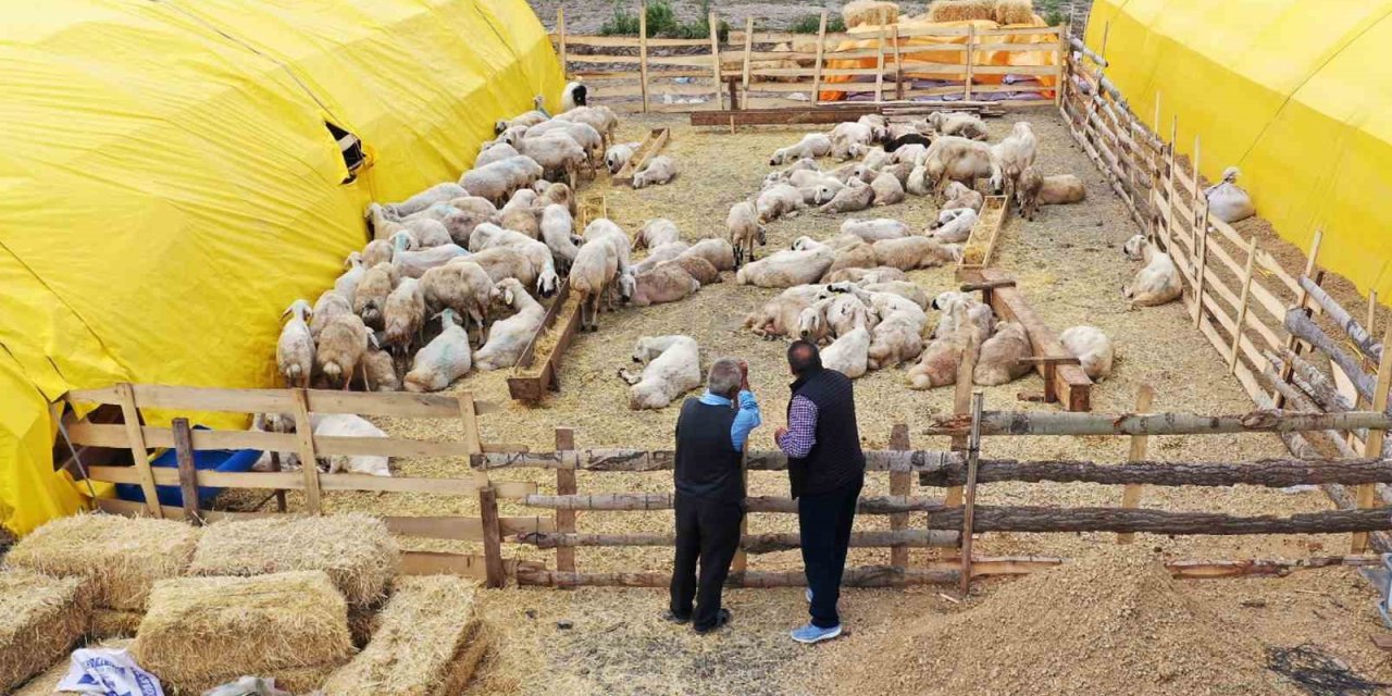 Keçiören’de Kurban Satış Alanları İçin Başvurular Başladı