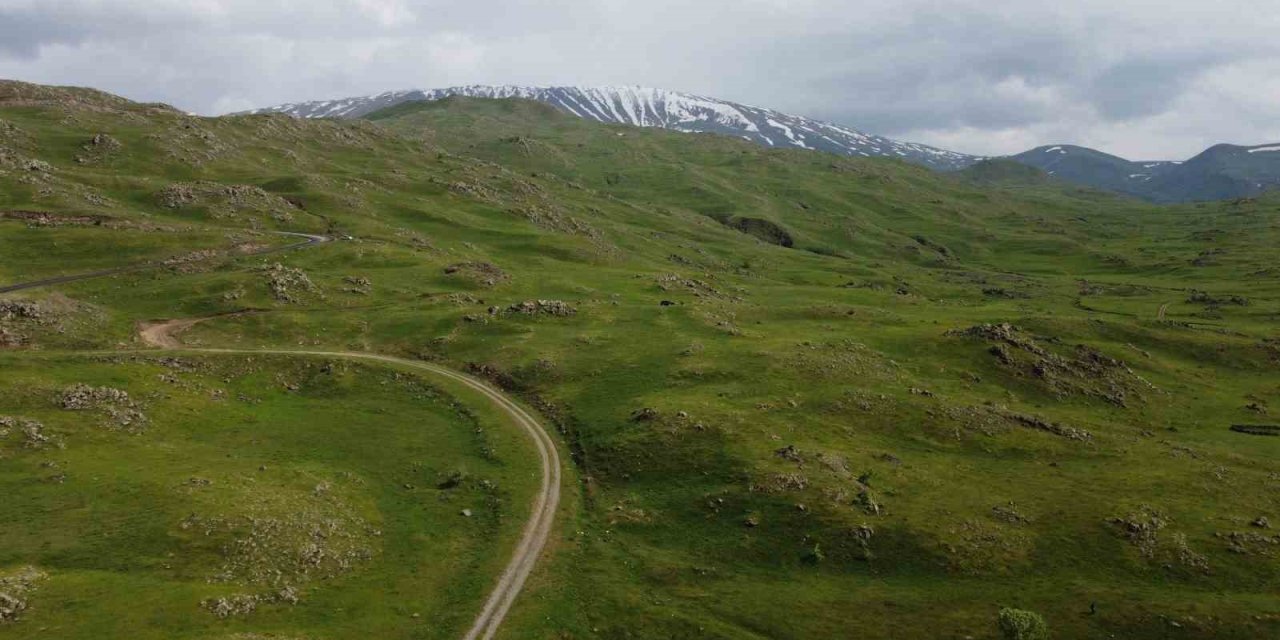 Iğdır’da Dağlar Yağmur Sonrası Yeşile Büründü