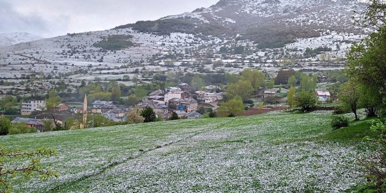 Kop Dağı’nda Kar Yağışı Ve Sis Etkili Oldu