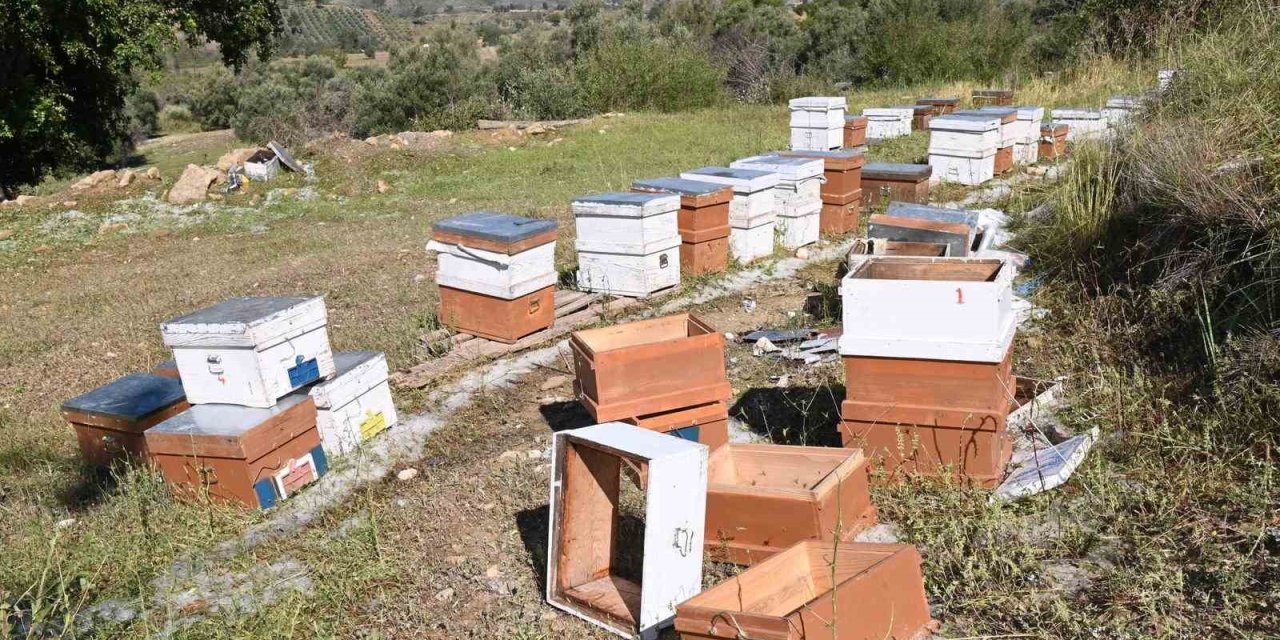 Antalya’da Fırtına Ve Dolu Tarım Alanlarını Vurdu