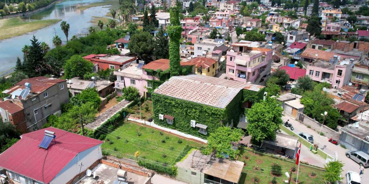 ’yeşil Cami’ Sarmaşıklarına Kavuştu