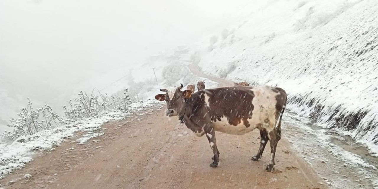 Mayıs ayında Anzer Yaylasına kar sürprizi