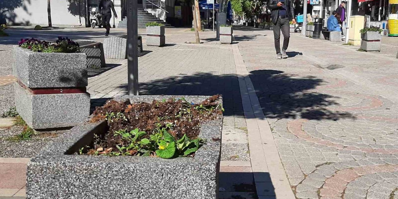 Yalova’da Vandallar İş Başında