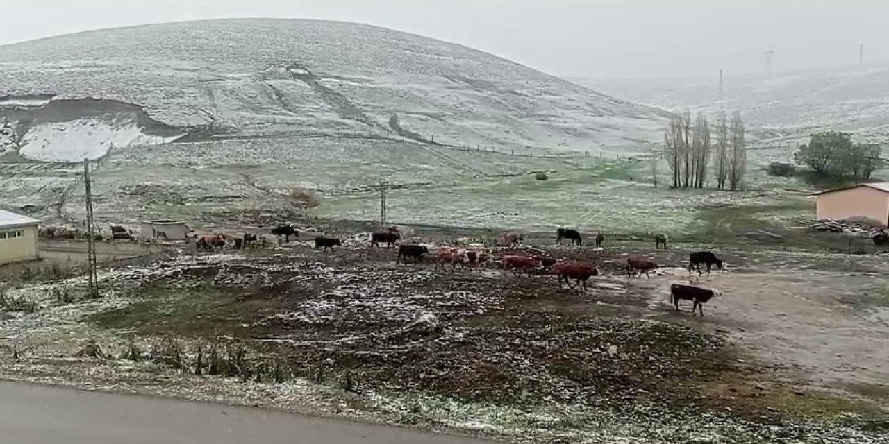 Tekman’da Kar Sürprizi