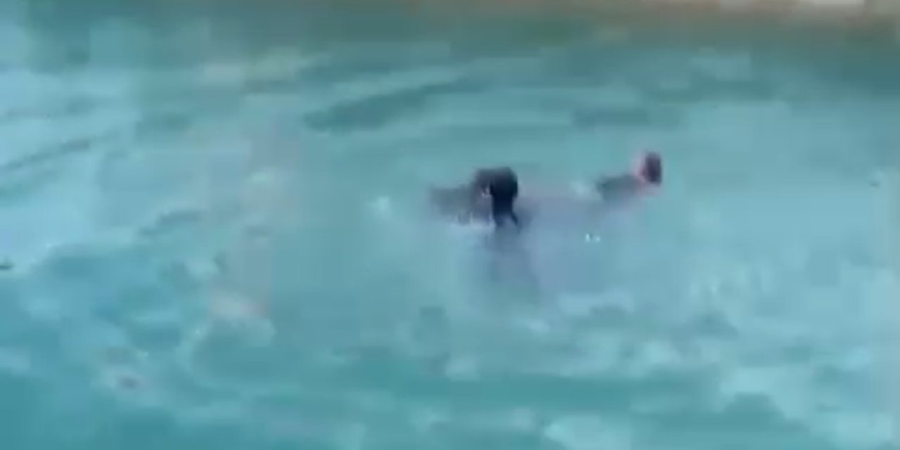 Sulama Kanalına Düşen Kadını Vatandaşlar Kurtardı