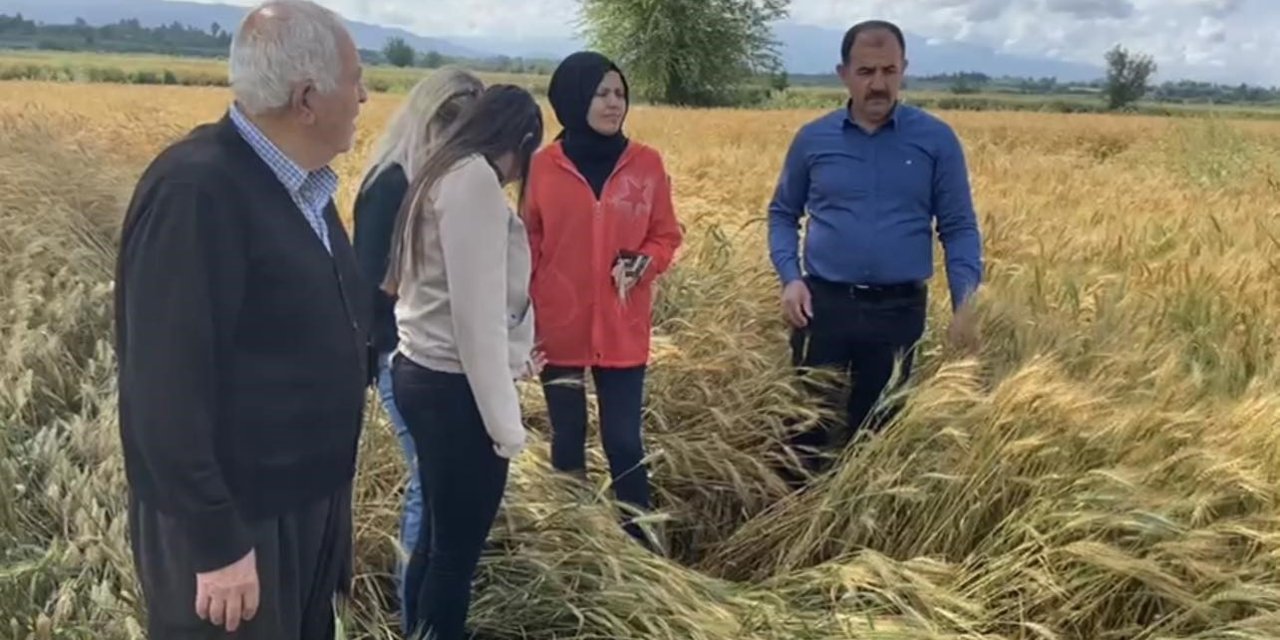 Osmaniye’de Sağanak Tarım Arazilerine Zarar Verdi