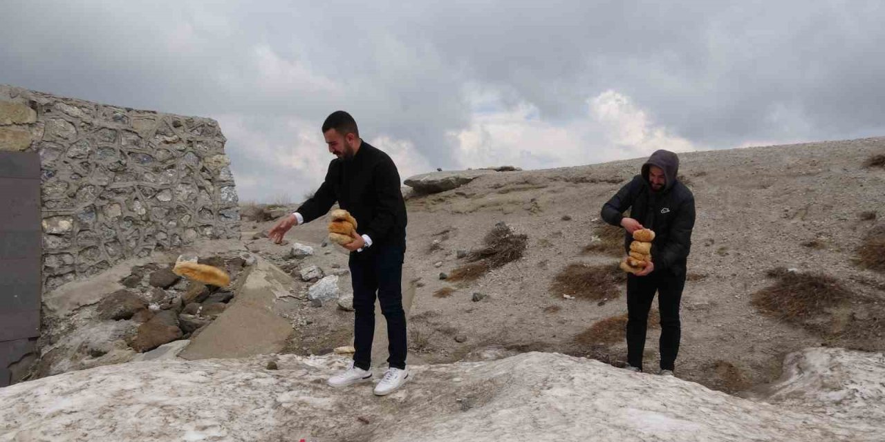 Karla Kaplı Nemrut’taki Yabani Hayvanlar Unutulmadı